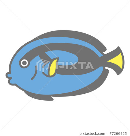 Illustration of blue tang Illustration of blue tang 77266525