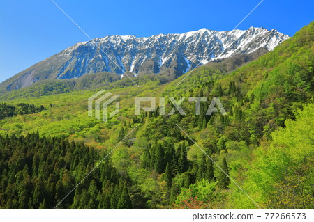 [Tottori Prefecture] Snow-capped Daisen and fresh green as seen from Kagikake Pass 77266573