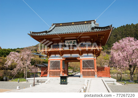 Spring Katsuo-ji Temple Spring Katsuo-ji Temple 77267220