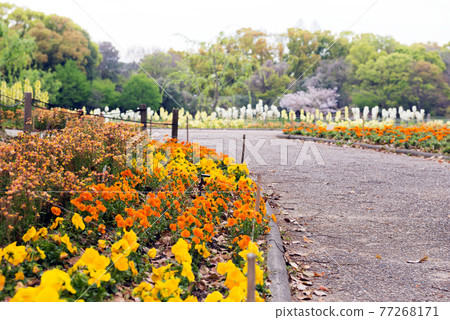 Nagai Botanical Garden 77268171