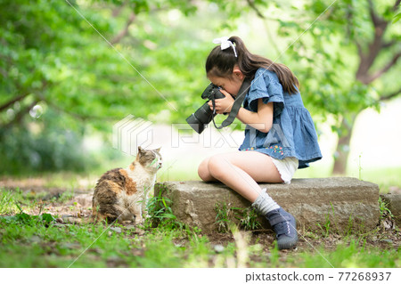 Girl taking pictures of cats Girl taking pictures of cats 77268937