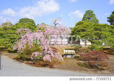 日本京都府京都市京都御所 77269751