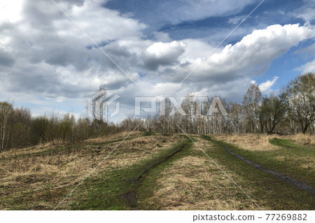 Dirt road on hill with bare trees on top in spring 77269882