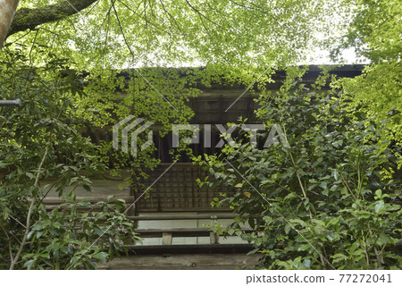清流宮海傳大悟寺 77272041