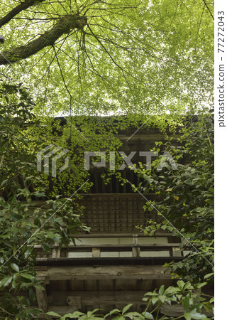 清流宮海傳大悟寺 清流宮海傳大悟寺 77272043