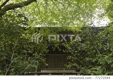 清流宮海傳大悟寺 清流宮海傳大悟寺 77272044