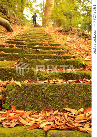 Fall stairs Fall stairs 77272561