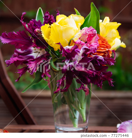 Bunch of Parrot Style Tulips Bunch of Parrot Style Tulips 77275446