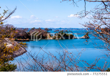Michinoku Shiokaze Trail 鹽灶市浦戶諸島野之島 北側松島灣的景色 Michinoku Shiokaze Trail 鹽灶市浦戶諸島野之島 北側松島灣的景色 77275551
