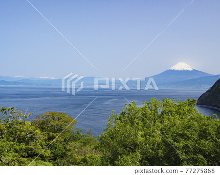 富士山纏繞伊豆半島西伊豆 富士山纏繞伊豆半島西伊豆 77275868