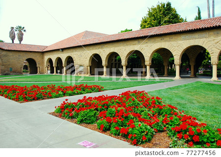 美國加利福尼亞州斯坦福大學校園風景 拱形走廊和花壇 77277456