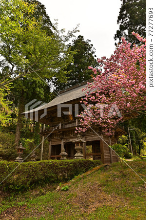 From Bunpoji Temple 77277693