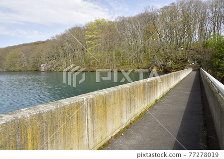 拍攝北海道函館市笹泉水庫春天的景色 77278019