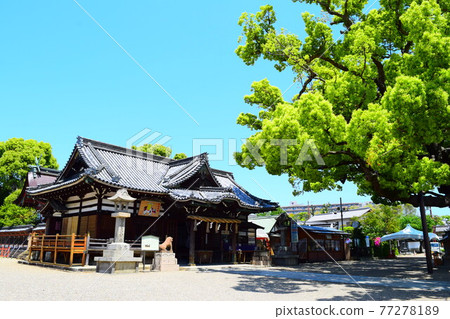 Hyakka Bird Hachimangu Shrine 77278189
