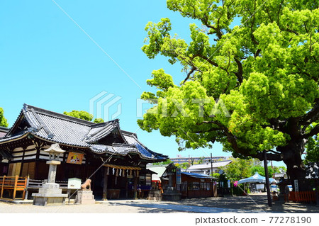 Hyakka Bird Hachimangu Shrine Hyakka Bird Hachimangu Shrine 77278190