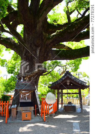 Hyakka Bird Hachimangu Shrine 77278191