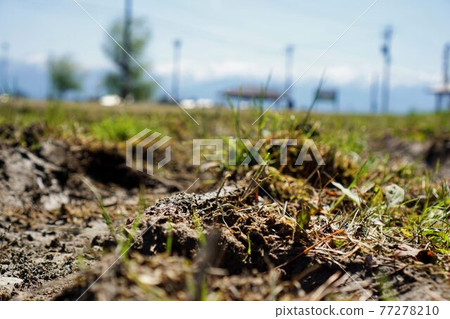 Abandoned land 77278210