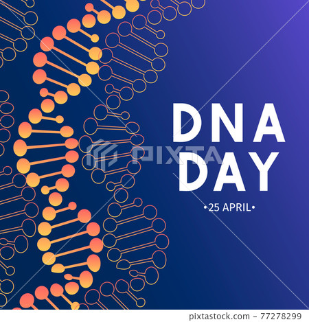 Neon helix of human DNA molecule. DNA day typography poster. Science concept vector illustration. Easy to edit template for banner, flyer, brochure, greeting card, etc. 77278299