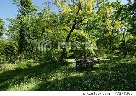 四季漫步春田島高原植物園 77278363