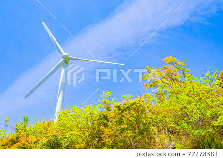 [Electricity] Wind power generation in the forest Renewable energy 77278381