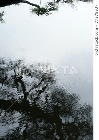 四季漫步春天的十樂園 四季漫步春天的十樂園 77278937