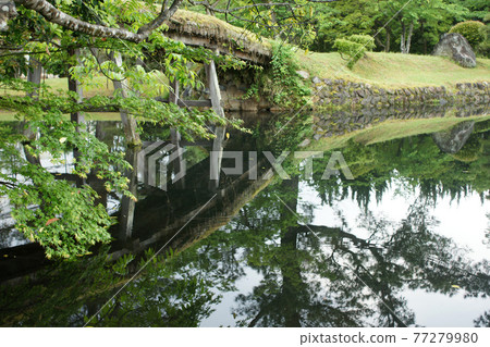 四季漫步春天的十樂園 77279980