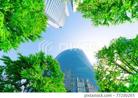 Tokyo Shinagawa skyscraper fresh green and blue sky 2021 Tokyo Shinagawa skyscraper fresh green and blue sky 2021 77280265