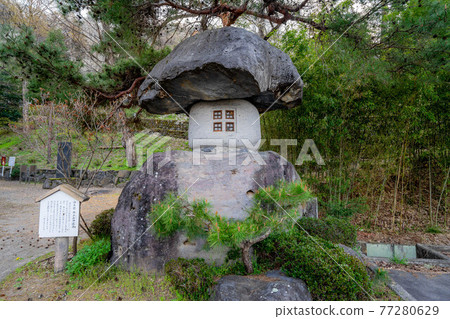 Jyounji Temple 77280629