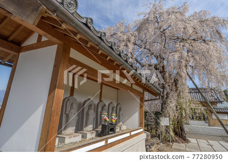 Daikoin 77280950