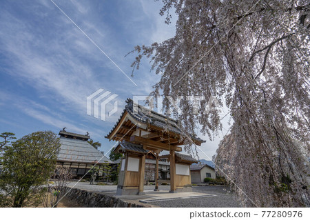 Daikoin Daikoin 77280976