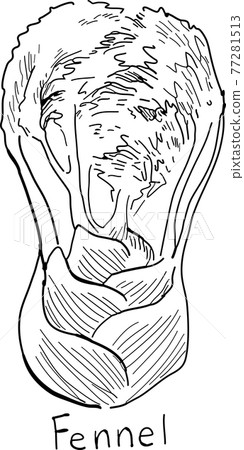 茴香筆劃黑白矢量 77281513