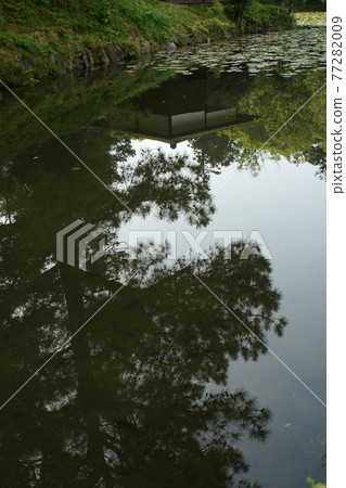 Four seasons walk Spring Jurakuen 77282009