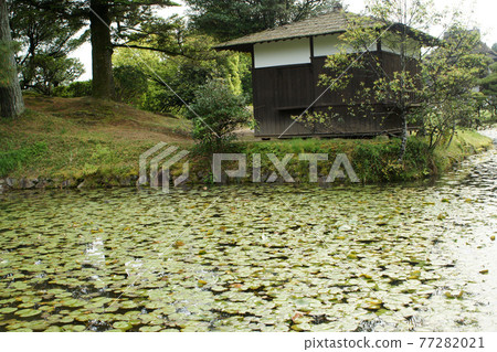 Four seasons walk Spring Jurakuen Four seasons walk Spring Jurakuen 77282021