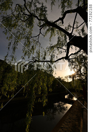 From Kinosaki Onsen 77282188