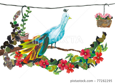 孔雀棲息在樹枝上 孔雀棲息在樹枝上 77282295