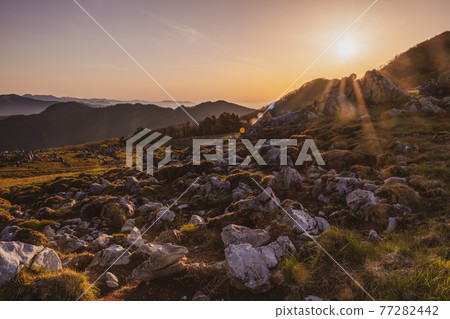 【自然風光】黎明時分的四國喀斯特 77282442