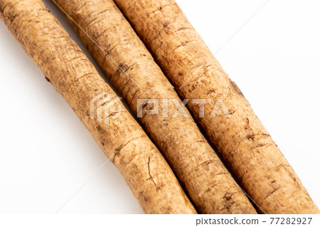 Burdock up. (White background) 77282927