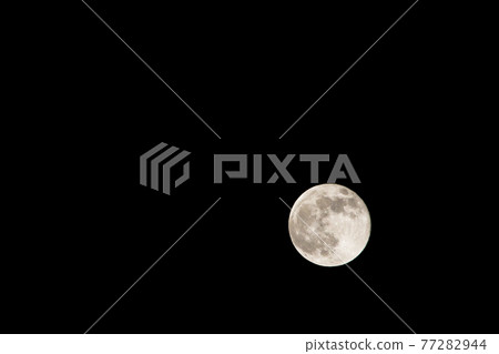 滿月/粉紅月亮 滿月/粉紅月亮 77282944