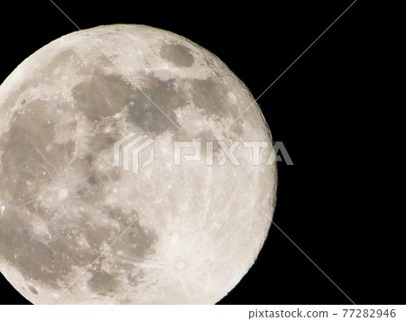 滿月/粉紅月亮 滿月/粉紅月亮 77282946