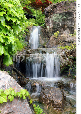 Hwadam Forest 77282953