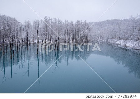 Biei Town Blue Pond Spring Snow Biei Town Blue Pond Spring Snow 77282974