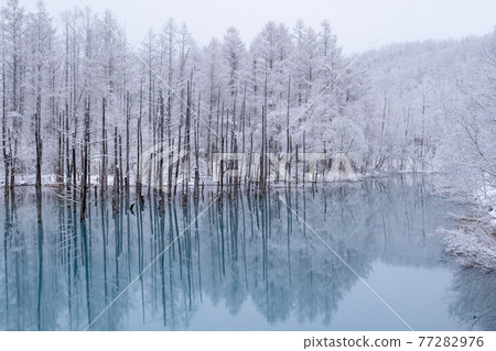 Biei Town Blue Pond Spring Snow 77282976