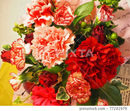 Mother's Day Carnation 77282979