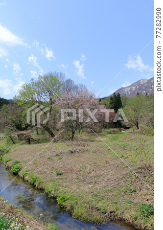 Hakuba Village Spring Himekawa Headwaters Hakuba Village Spring Himekawa Headwaters 77282990