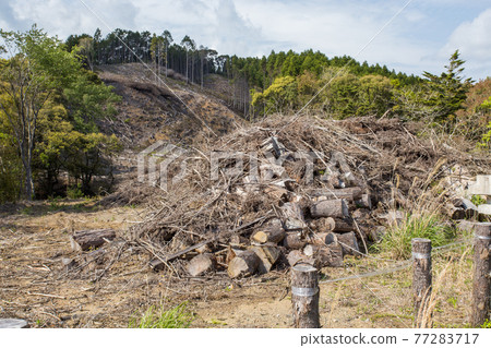山體滑坡導致山體倒塌 山體滑坡導致山體倒塌 77283717