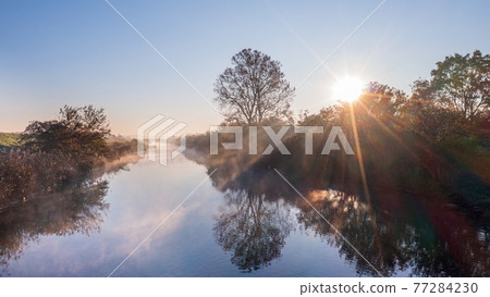 “埼玉縣”水沼稻田晨霧風光 77284230
