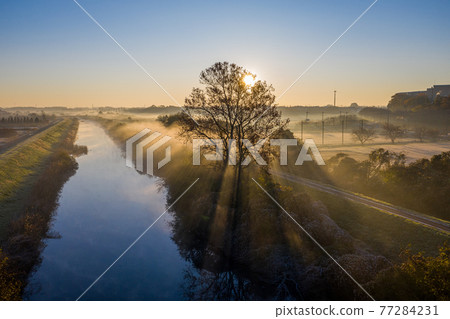 “埼玉縣”水沼稻田晨霧風光 77284231