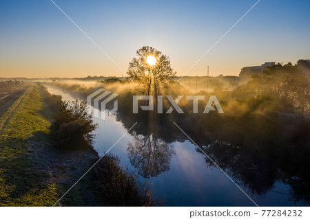 “埼玉縣”水沼稻田晨霧風光 77284232