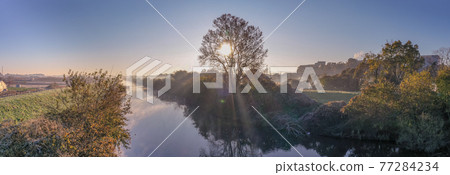 "Saitama Prefecture" Minuma rice field morning mist scenery "Saitama Prefecture" Minuma rice field morning mist scenery 77284234
