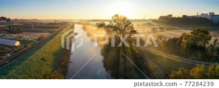 "Saitama Prefecture" Minuma rice field morning mist scenery "Saitama Prefecture" Minuma rice field morning mist scenery 77284239